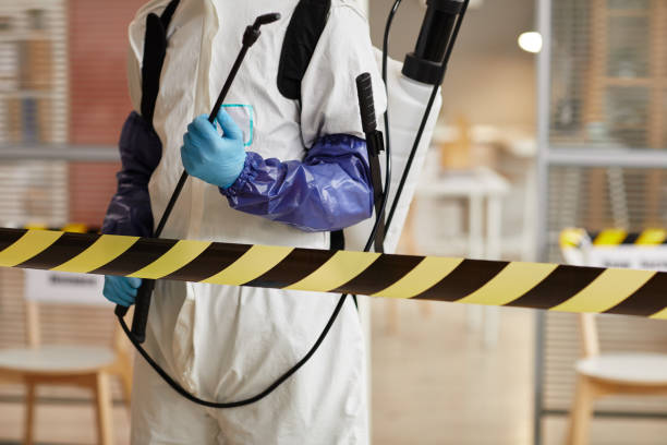 Professional Sewage Cleanup technician working in Conway, WA